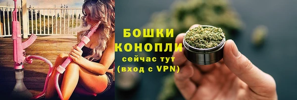 ALPHA PVP Чегем